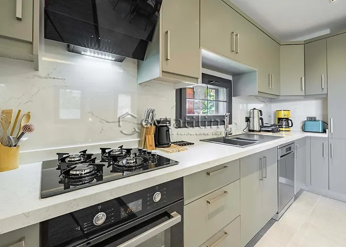 Silver By Evtatilim Gumusluk Koyunbaba Villa